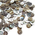New Upick 11/13/15/23mm 100pcs Shell Buttons Sewing Craft Buttons 2 Holes (18mm)...