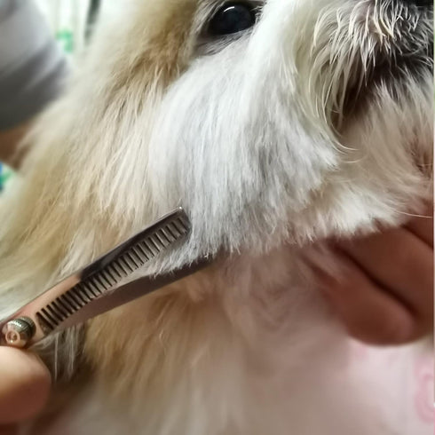 Dog Grooming Scissors with Safety Round Tips Stainless Steel Professional Dog Grooming Kit - Thinning, Curved Scissors and Comb for Dog Cat Pet...