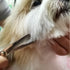 Dog Grooming Scissors with Safety Round Tips Stainless Steel Professional Dog Grooming Kit - Thinning, Curved Scissors and Comb for Dog Cat Pet...