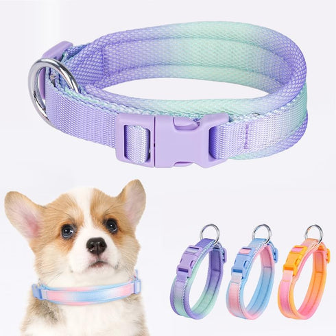 Fashionable Gradient Dog Collar: Macaron & Dopamine Shades with Breathable Mesh Padding for Comfort, Premium Woven Strap, Durable POM Buckle, and ...