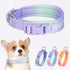 Fashionable Gradient Dog Collar: Macaron & Dopamine Shades with Breathable Mesh Padding for Comfort, Premium Woven Strap, Durable POM Buckle, and ...