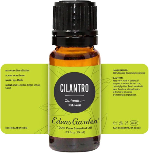 Edens Garden Cilantro Essential Oil- 100% Pure Premium Grade, Undiluted, Natural, Therapeutic, Aromatherapy, The Best for Diffuser, Candle, Laundr...