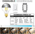 XININSUN Dimmable Half Chrome Light Bulb,6W (60W Eqv.), Anti Glare LED Light Bulbs,G25 Globe Light Bulbs,E26 G80 Silver Dipped Bulb for Bathroom, ...