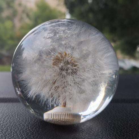 Gear Shift Knob Crystal Ball with Dandelions Flowers Car Shift Knobs Gear Shifter Knob with 3 Adapters fit for Most Manual Transmission or Automat...