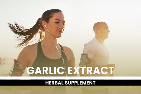 Pure Original Ingredients Garlic Extract (365 Capsules) No Magnesium Or Rice Fillers, Always Pure, Lab Verified...