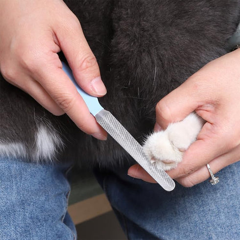 Dog & Cat Pets Nail Clippers and Trimmers Suitable for Medium to Large Dogs, Cats, Rabbits and Guinea Pigs - Safety Lock/Protective Guard to Avoid...