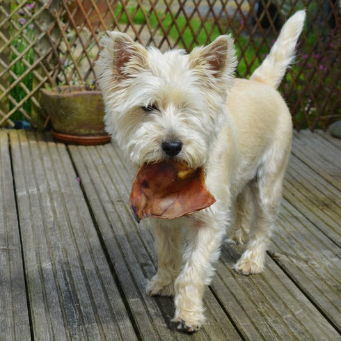 Chicken Jerky Dog Treats Single Ingredient and Made in USA...