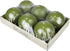 Zest Candle 6-Piece Ball Candles, 3-Inch, Sage Green...