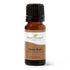 Plant Therapy Clove Bud Essential Oil 100% Pure, Undiluted, Natural Aromatherapy, Therapeutic Grade 10 mL (1/3 oz)...