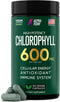 Chlorophyll Capsules 600 mg - Natural Chlorophyll Pills for Women & Men - Highly BioAvailable Chlorophyll Supplement for Energy, Immunity, Skin + ...