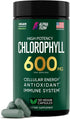 Chlorophyll Capsules 600 mg - Natural Chlorophyll Pills for Women & Men - Highly BioAvailable Chlorophyll Supplement for Energy, Immunity, Skin + ...