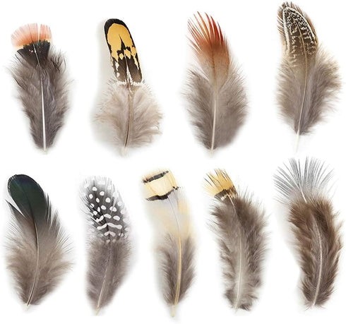 180pcs 9 Styled Natural Feathers Assorted Mixed Feathers for Jewelry and Dream Catcher Crafts...