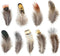 180pcs 9 Styled Natural Feathers Assorted Mixed Feathers for Jewelry and Dream Catcher Crafts...