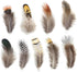 180pcs 9 Styled Natural Feathers Assorted Mixed Feathers for Jewelry and Dream Catcher Crafts...