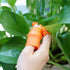 Garden Silicone Thumb Cutter Set, Separator Finger Plant Fruit Picking Tool, Fruit and Vegetable Picking Potted Plants Trim Silicone Thumb Tool fo...