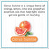 B&N All Natural Daisy's Goat Milk Powdered Soap Laundry Detergent, Scent, 3 Load Trial Size Citrus Sunrise Citrus Sunrise 2 Ounce Fresh...