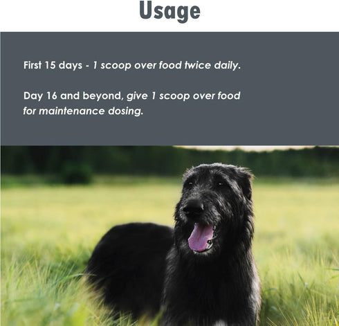 Nixit Stool-Eating Preventative for Dogs - Vitamin B Supplement - Chicken Liver and Natural Fish Flavored Powder - 10.5 oz...