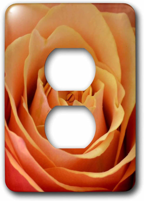 3dRose lsp_31363_6 Sweet Peach Rose Flower Photography Outlet Cover, Multi-Color...
