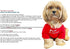 Cute Dog Clothes,Dog T Shirt for Medium Dogs.Dog Clothes for Small Dogs Girl Boy,Puppy.Breathable Soft Dog Costume Pet Dogs Cats,Pet Pullover Jump...