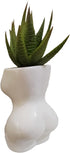 Cute 4.7 inch Indoor Body Shaped Ceramic Succulent Cactus Air Plant Body Art Modern Flower Pots Planter - Plant Not Included (White)...