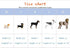 Elegant little tail Halloween Dog Collar with Bow - Herringbone Orange Dog Collar Bow Cotton Durable Bowtie Collar Pet Dog Collar for X-Large Dogs...