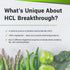 BIOptimizers HCL Breakthrough - Betaine Hydrochloride Enzymes Supplement - Assists with Protein Breakdown and Absorption - Helps Gas and Heartburn...
