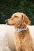 Elegant little tail Independence Day Dog Collar, American Flag Bowtie Dog Collars 4th of July American Pet Gift Adjustable Soft Puppy Collar for S...