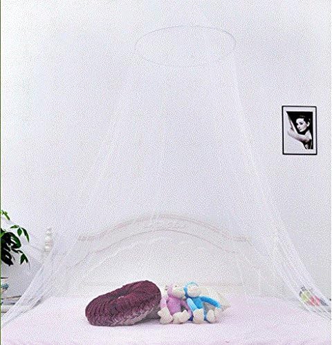 GOLF 1PCS Mosquito Nets, Insect Bug Protection Bed Canopy Elegant Lace Hanging Curtain, Ideal for Home Travel (White)...