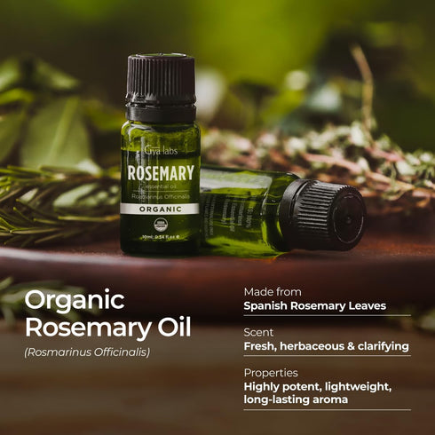 Gya Labs USDA Certified Organic Rosemary Essential Oil for Hair & Scalp - 100% Pure Natural Rosemary Oil Organic for Skin & Diffuser - Natural Aro...