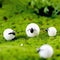 9pcs Sheep Micro Landscape Ornaments, Miniature Figurines Fairy Garden Accessories, Garden DIY Kit...