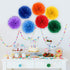 Binpeng Rainbow Paper Pom Poms Hanging Paper Flower Ball Wedding Party Celebrations Decorations Outdoor Decoration Flowers Craft for Party Birthda...