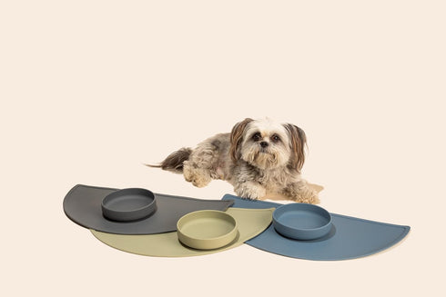 The Perfect Dish - Durable Dog Water Bowl - No Spill - Less Mess Non-Tippable Water & Food Bowl, Pure Silicone, Spill Proof with Suction Cup, Suit...
