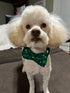 Elegant little tail St. Patrick's Day Dog Collar, Dog Collar with Bow, Green Clover Dog Collar Pet Gift Dog Bowtie Adjustable Dog Collar for Large...