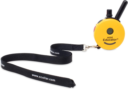Educator Dog Trainer Nylon Lanyard Lead for Use with E-Collar Hand Held Transmitter Remotes, Black...