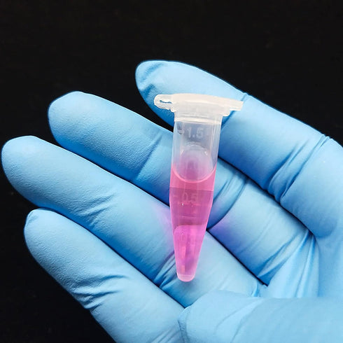 1.5ml Microcentrifuge Tubes with Snap Cap, Polypropylene Graduated, 500 Pcs Sterilized Clear Plastic Small Vials with Caps for Sample Storage with...