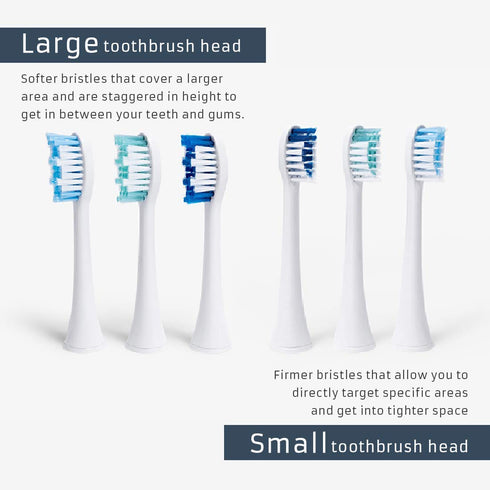 Elements Toothbrush Heads - Compatible with Elements Sonic Toothbrush, Small, Firm Bristles, Small (Pack of 3)...