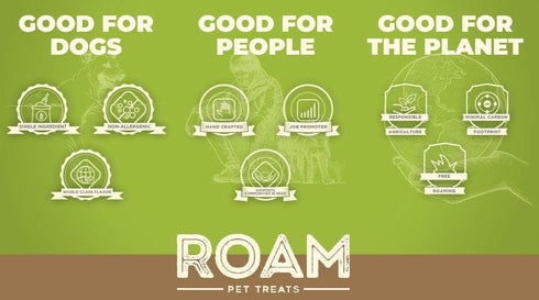 ROAM Pet Treats Ossy Hide – Ostrich Dog Chew Contains 2 Braided Hide Chews...