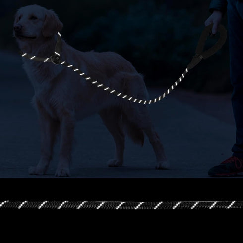 Slip Lead 6 FT for Medium and Large Dogs,Puppy Dog Training Leash Heavy Duty,No Pull Reflective Nylon Dog Leash,Rope Training Leash for Dogs That ...