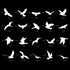 Boao Large Size Anti-Collision Window Clings - Translucent/Dusted Bird Deterrent for Doors, Windows & Glass...