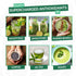 Amla Powder & Decaf Green Tea Superfood Supplement, 20x Ultra Concentrated Amla, Oolong Tea and Indian Gooseberries, Organic, Vegan, 90 Servings...