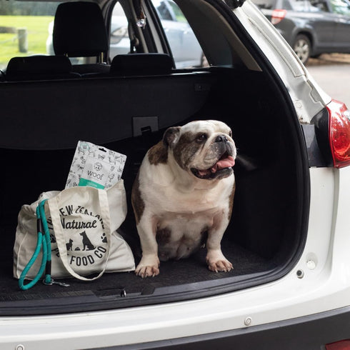 WOOF Air Dried Dog Treats - Chicken Wing Tip, High Protein, Dog Treats Small Dogs and Dog Treats for Large Dog, Natural, Topper or Dog Treat, 1.76...