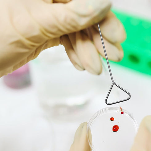 Petri Dish Set:Stainless Steel Cell Spreading for Laboratory Supplies,Wide 4cm/1.6inch,4 pcs...