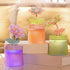 Home Humidifier,260mlCool Mist Humidifier,essential oil diffusers,2 in 1 Portable LED Air Humidifier Desk Lamp,USB Rechaegable Eternal Flower Humi...
