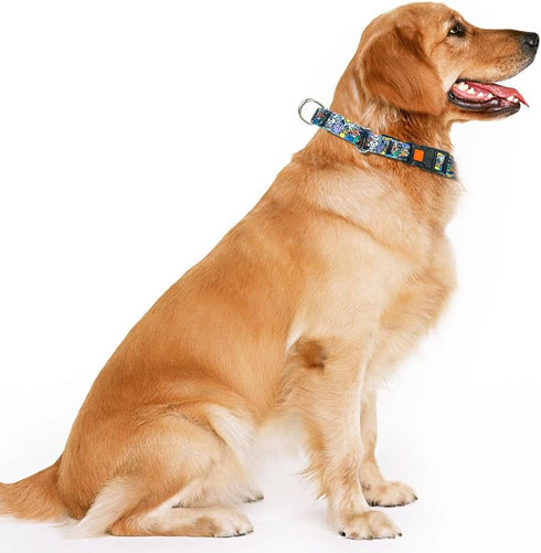Heavy Duty Dog Collar with Buckle, No Pull Escape Proof Limited Choke Pinch Pet Martingale Collars Quick Release for Small Medium Large Breed Dogs...