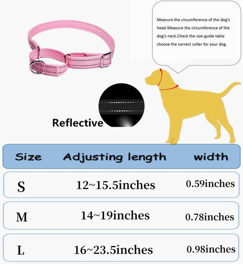 Martingale Dog Collars, Reflective Safety Puppy Collar, Adjustable Soft Nylon Training Dog Collar,Metal Accessories Heavy Duty No Pull Pet Collars...