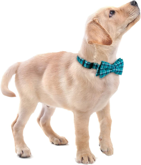 Soft &Comfy Bowtie Dog Collar,Detachable and Adjustable Bow Tie Collar,for Small Medium Large Pet (Large(Pack of 1), Green)...