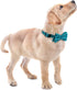 Soft &Comfy Bowtie Dog Collar,Detachable and Adjustable Bow Tie Collar,for Small Medium Large Pet (Large(Pack of 1), Green)...