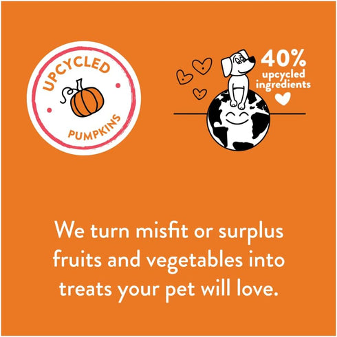 Shameless Pets Pumpkin Nut Par-Tay Soft-Baked Biscuit, 6 OZ...