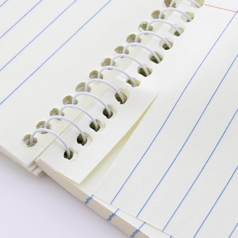 BAZIC Perforated Writing Pad Writing Pad, 80 Sheets 6"x9" White Gregg Ruled Steno Book, Lined Writing Pads for Office School, 1-Pack...