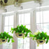 Plant Hanger Bracket, Hanging Plant Hooks Outdoor, Hooks for Hanging Plants, Iron Wall Hooks Decorative Metal Hooks for Hanging Planter, Bird Feed...